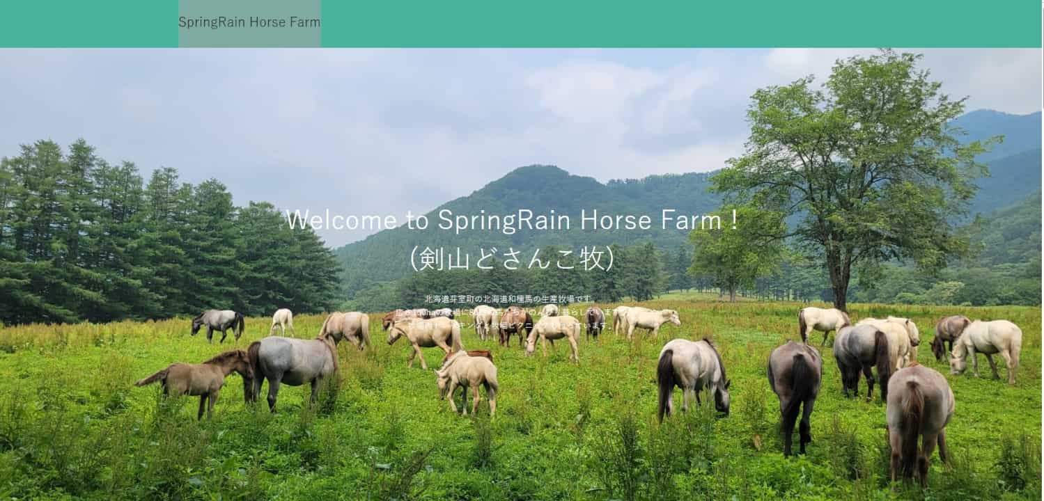 SpringRain Horse Farm　（剣山どさんこ牧）