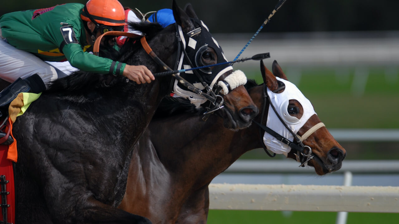モンジュー　海外馬馬券38枚 zunou_20220201_2.jpg