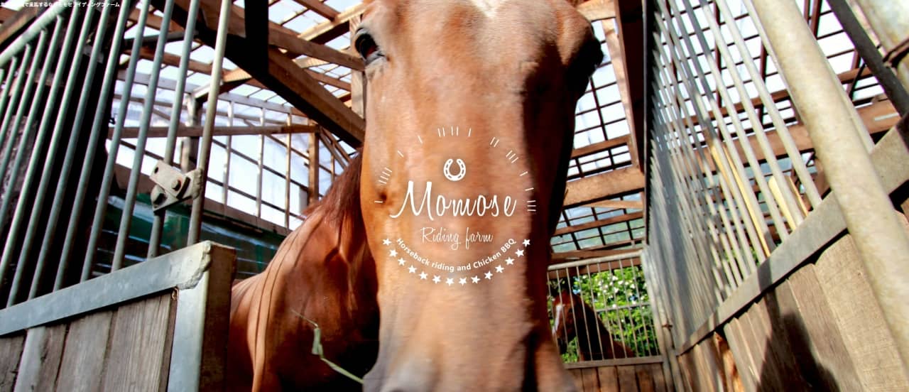 モモセライディングファーム