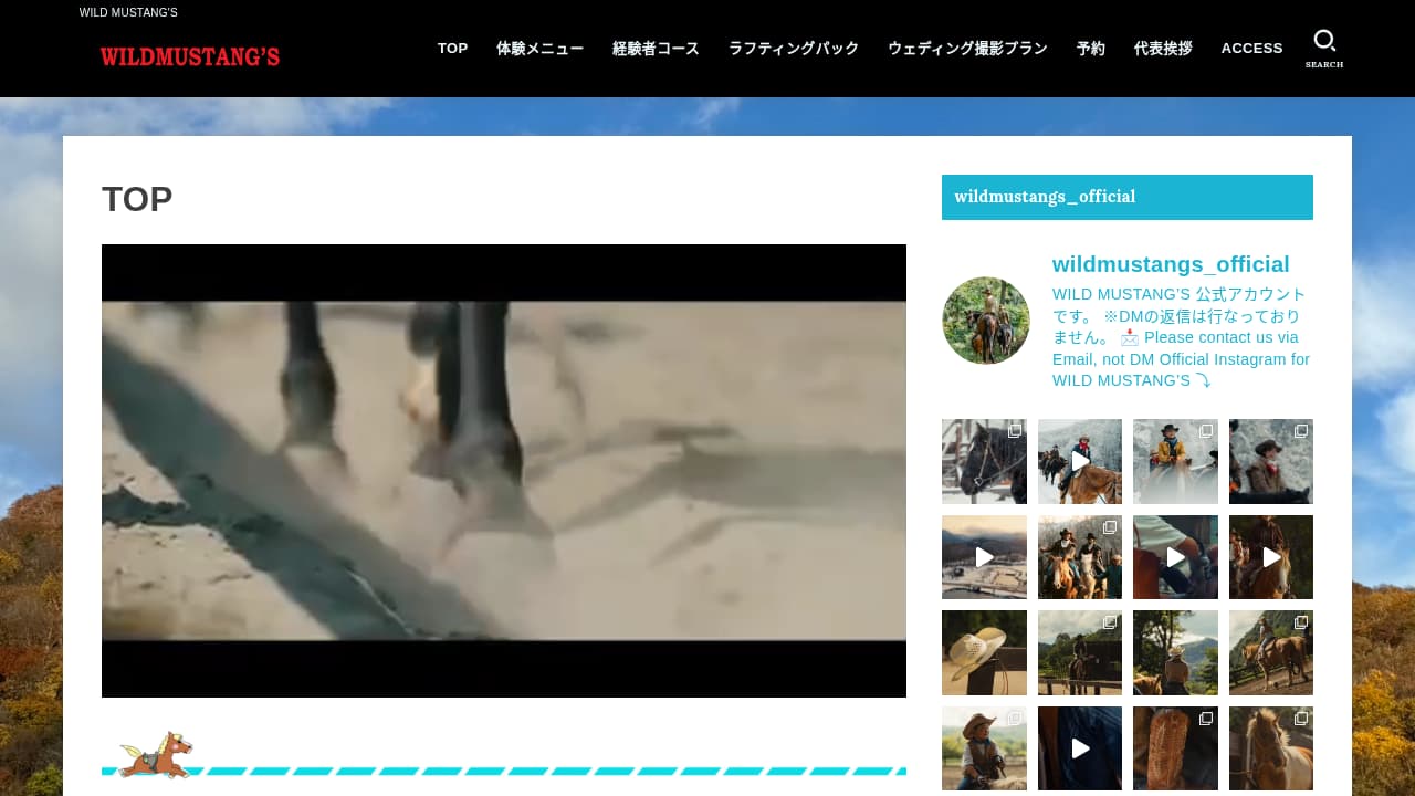 ワイルドムスタングス