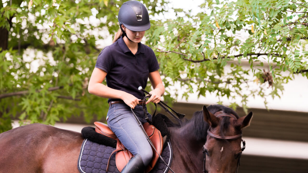 未経験者 初心者のための乗馬でも使えるスポーツ用の保険 全国の乗馬体験 乗馬クラブの紹介equia エクイア