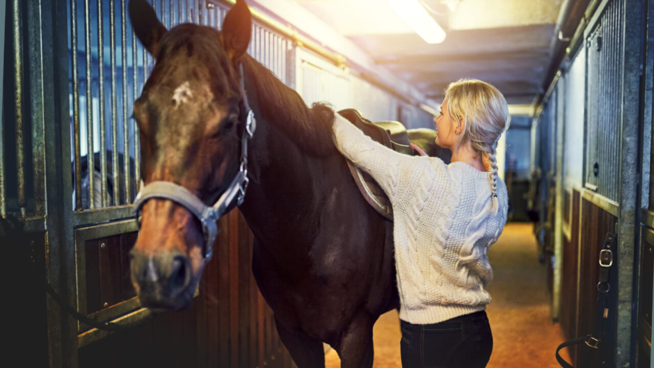 【最後まで気を抜かず】馬装解除の手順とポイント