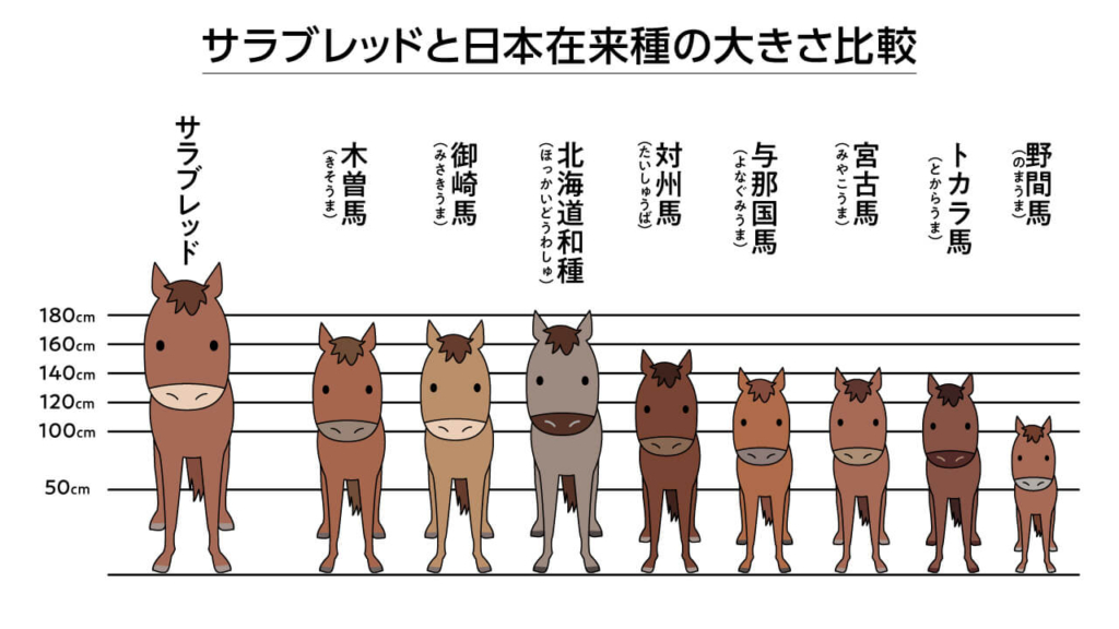 希少！一度は乗りたい！日本在来馬って知ってる？分布図や