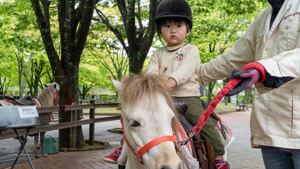 子供の乗馬体験