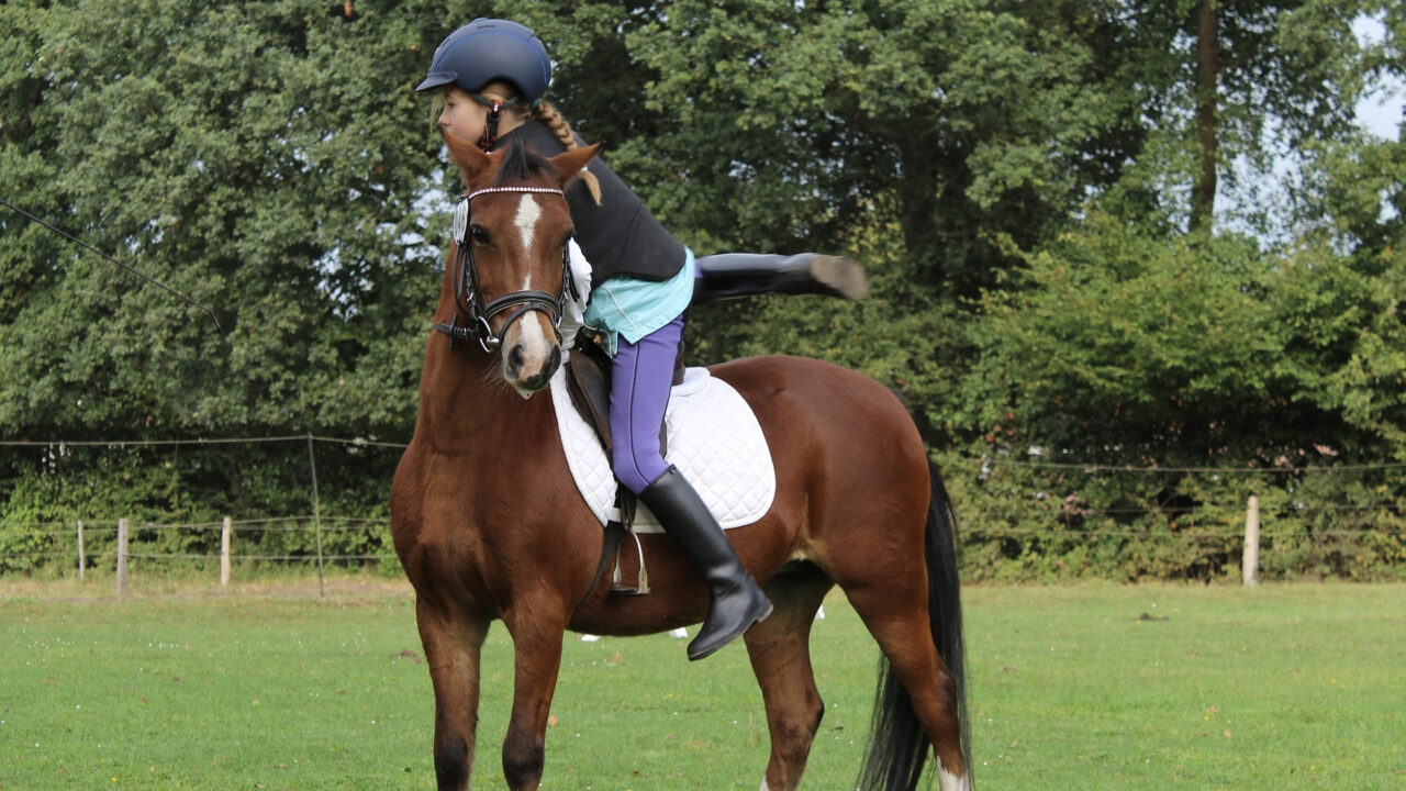 【楽しさ2倍！】親子で乗馬体験