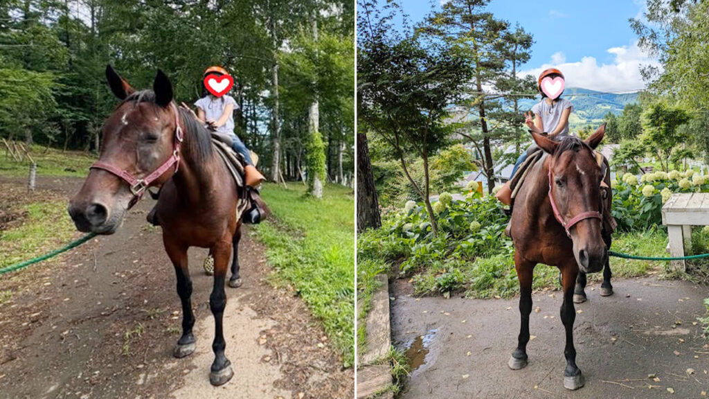 引き馬