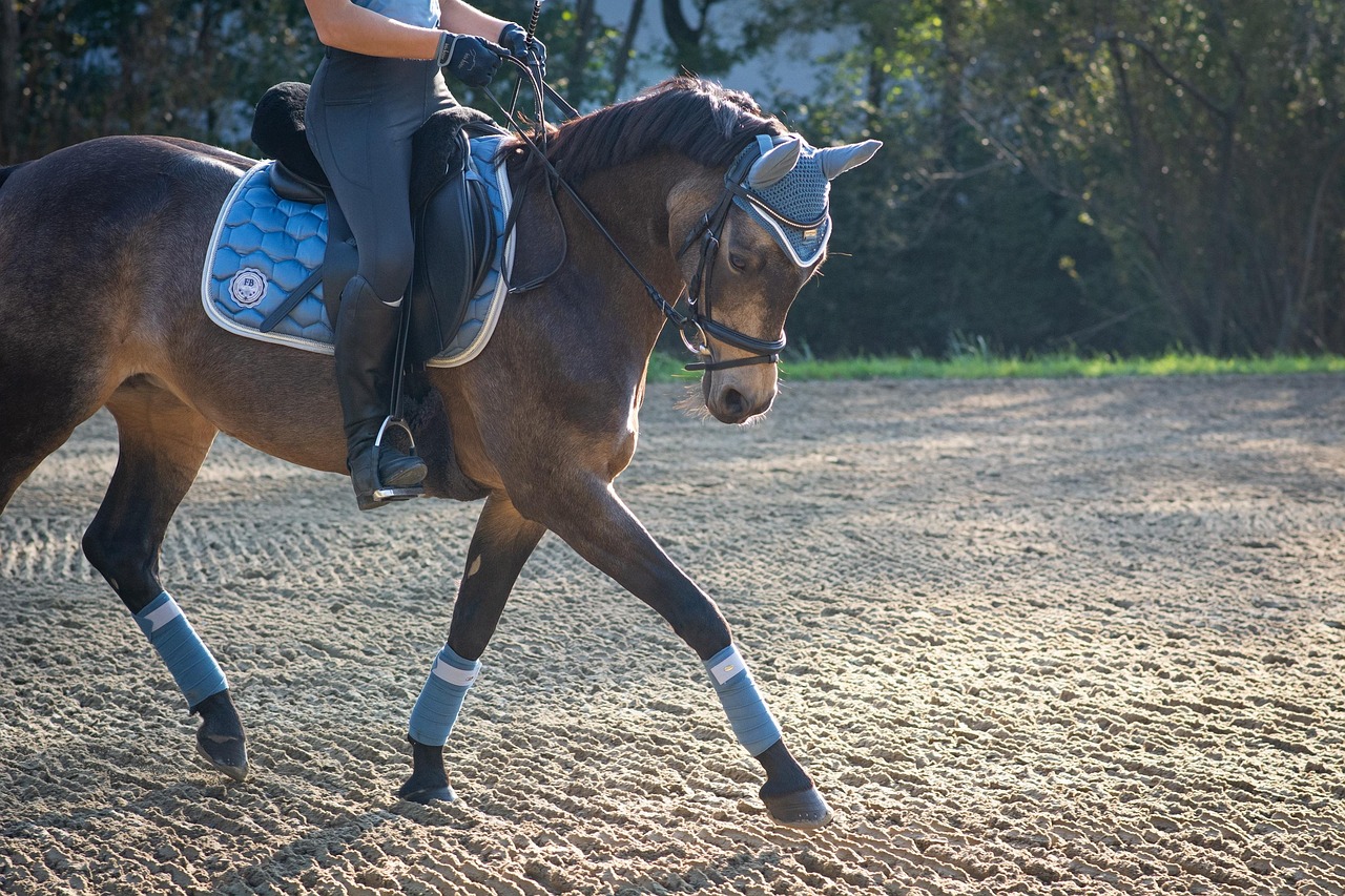 オシャレと機能を兼ね備えた馬具