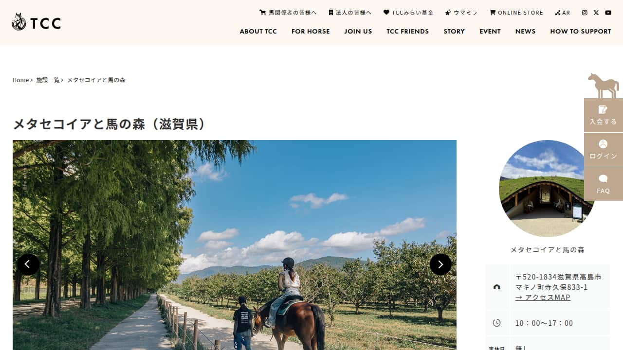 メタセコイアと馬の森