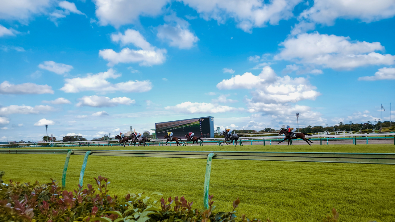 【知らないことが多いかも】競馬場でのマナー